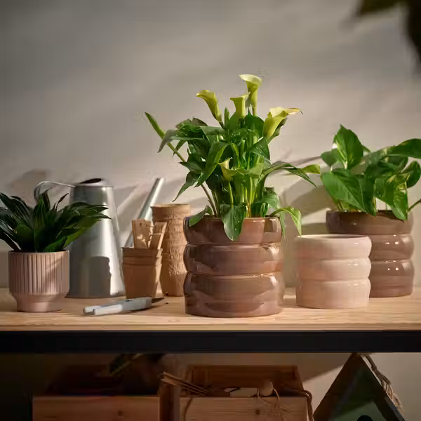 HASSELBUKETT ХАССЕЛБУКЕТТ Кашпо - д/дома/улицы/бежевый 12 см - фото 5