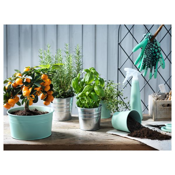 Миска СОККЕР, д/дома/улицы, светло-зеленый (20 см) - схема-чертеж с размерами