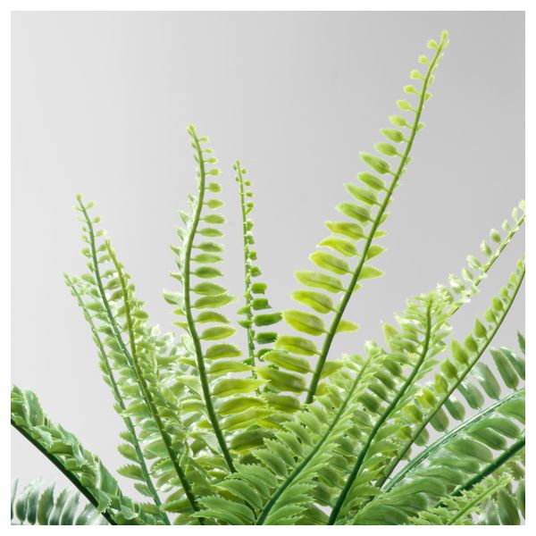 Искусственное растение в горшке ФЕЙКА, д/дома/улицы папоротник д/дома/улицы папоротник (10 см) - схема-чертеж с размерами