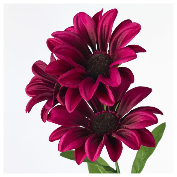 Цветок искусственный СМИККА, Африканская ромашка, темно-розовый (53 см) - схема-чертеж с размерами