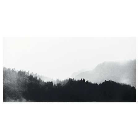 Картина ПЬЕТТЕРИД, Дикая природа (120x56 см)