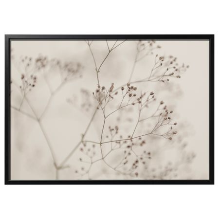 Картина с рамой, Цветы крупным планом, черный, 140x100 см IKEA BJÖRKSTA БЬЁРКСТА 895.611.63
