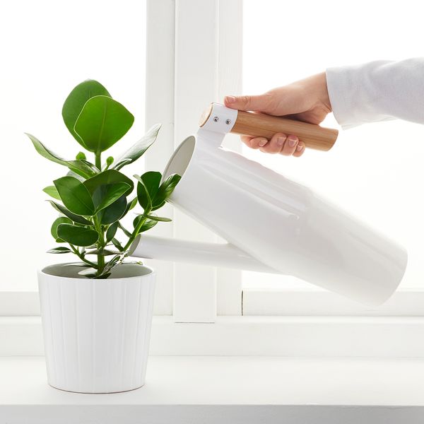 Лейка, белый, 2 л IKEA BITTERGURKA БИТТЕРГУРКА 303.680.68 - фото 5