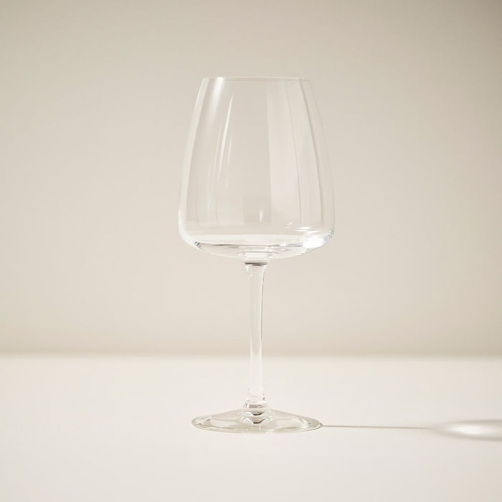 DYRGRIP Бокал для красного вина - прозрачное стекло 58 сл - фото 1