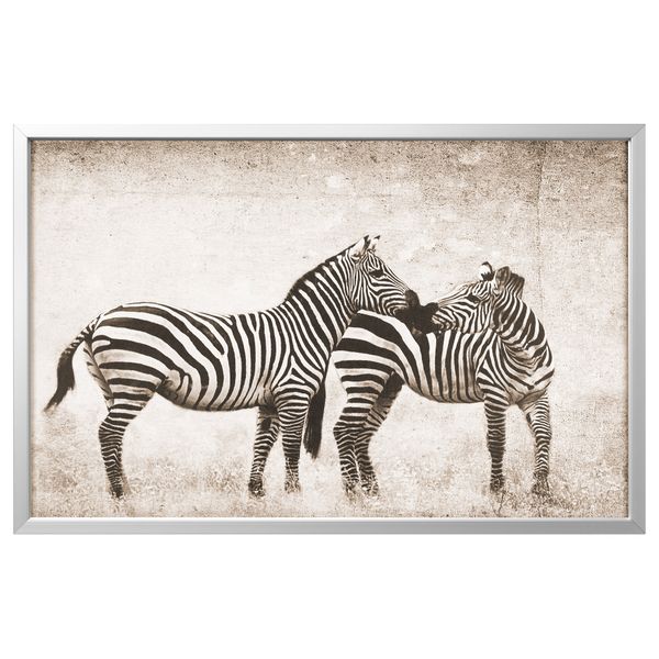 Картина с рамой БЬЁРКСТА, Зебры, цвет алюминия (78x118 см) - фото 1