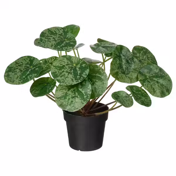 FEJKA Искусственное растение в горшке - д/дома/улицы Пилея 9 см - фото 1