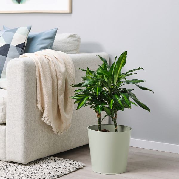 Кашпо, для дома, улицы светло-зеленый 24 см IKEA VITLÖK ВИТЛОК 904.758.38 - фото 2