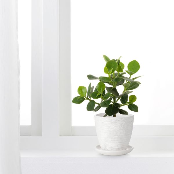 Горшок цветочный, белый 10 см IKEA SKAKIG СКАКИГ 604.313.51 - фото 3