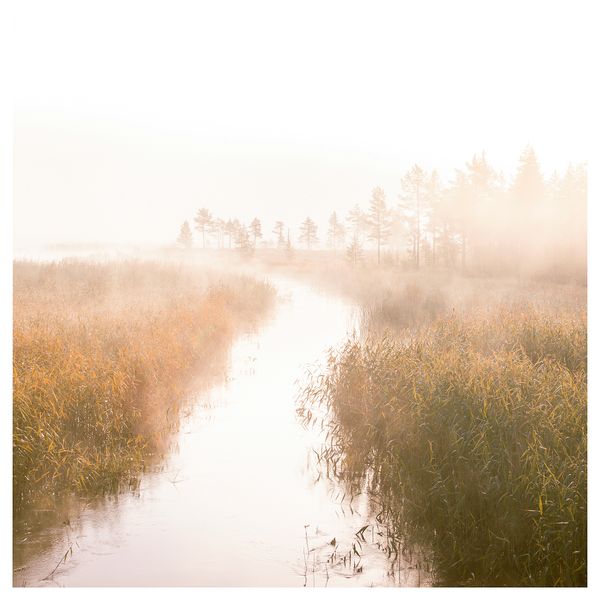 Картина СНОСТОРП, В пути (2.5x2.5 м) - фото 1