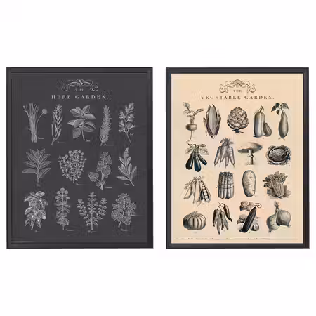 KNOPPÄNG Рама с постером - сад 40x50 см