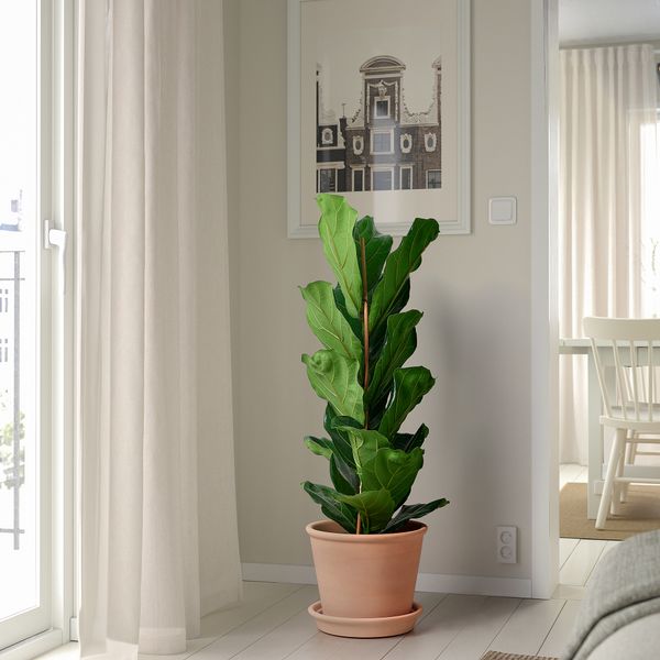 Горшок цветочный с поддоном IKEA MUSKOT МУСКОТBLOMMA МУСКОТБЛОММА 605.387.62 - фото 3