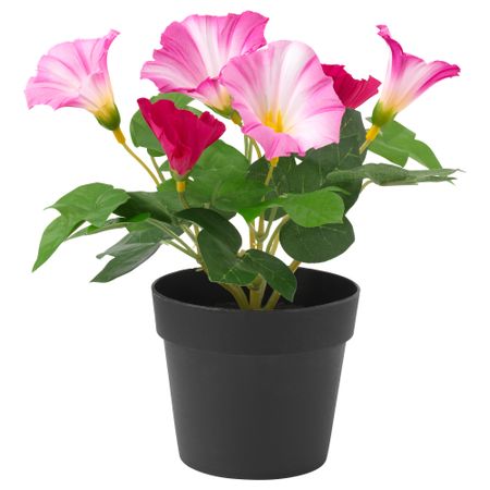 Искусственное растение в горшке ФЕЙКА, Ипомея трехцветная розовый (9 см)