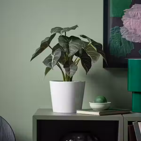 FEJKA Искусственное растение в горшке - д/дома/улицы Алоказия 12 см - фото 2