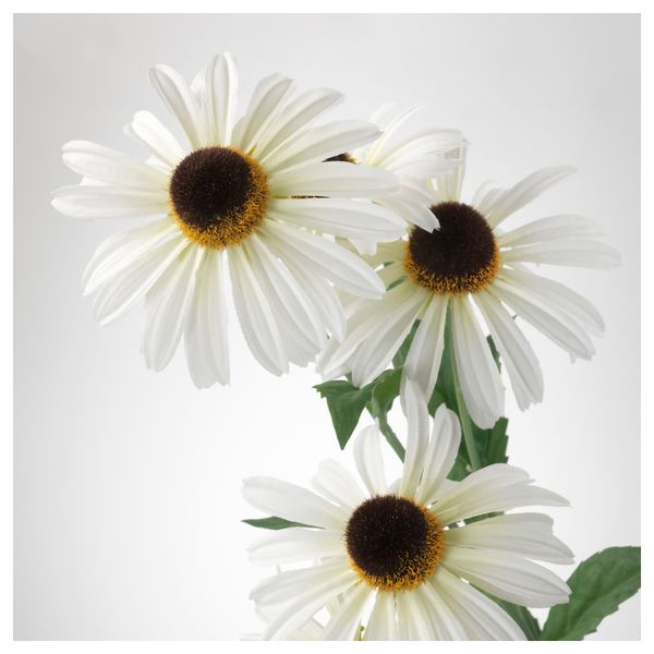 Цветок искусственный СМИККА, Астра, белый (60 см) - схема-чертеж с размерами