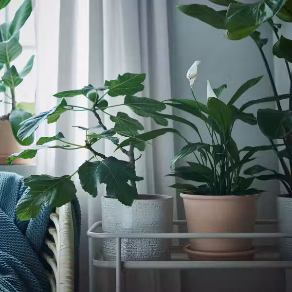 MUSKOTBLOMMA МУСКОТБЛОММА Горшок цветочный с поддоном - фото 5