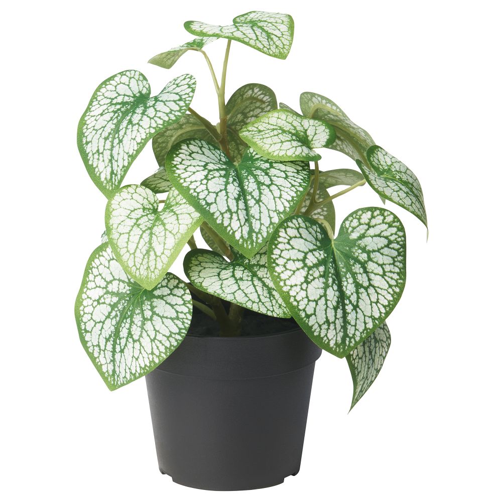 Искусственное растение в горшке, для дома, улицы Кавказская незабудка, 9 см IKEA FEJKA ФЕЙКА 105.825.02 - фото 1