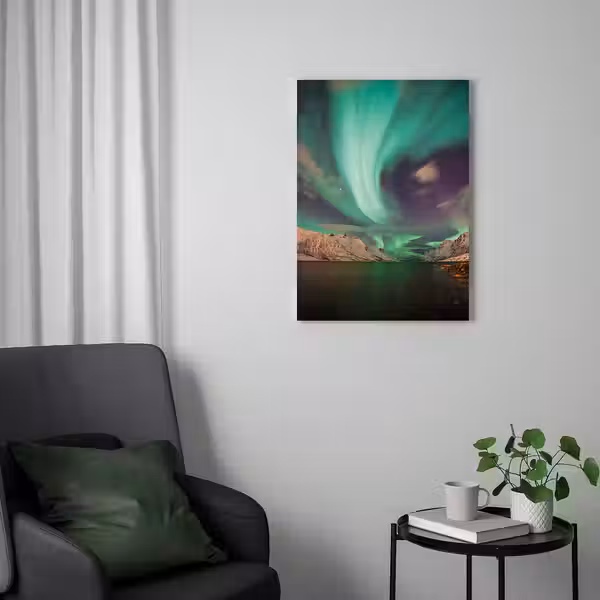 PJÄTTERYD Картина - Аврора III 50x70 см - фото 2