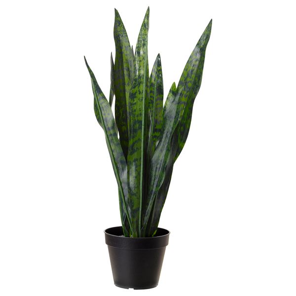 Искусственное растение в горшке ФЕЙКА, Сансеверия трехполосая (12 см) - фото 1
