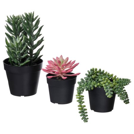 Искусственное растение в кашпо, 3 шт., для дома, улицы Суккулент IKEA FEJKA ФЕЙКА 205.380.14