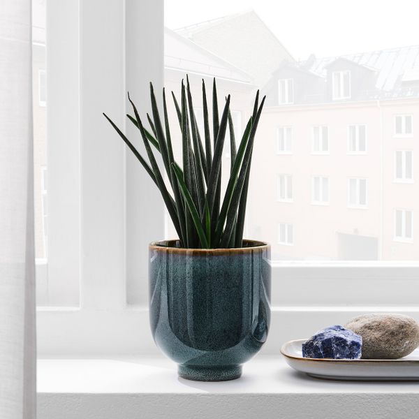 Кашпо, для дома, улицы темно-синий 9 см IKEA DRÖMSK ДРЁМСК 004.968.64 - фото 4