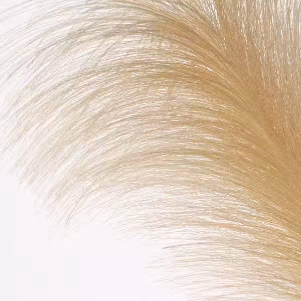 SMYCKA Цветок искусственный - Пампасная трава 86 см - схема-чертеж с размерами