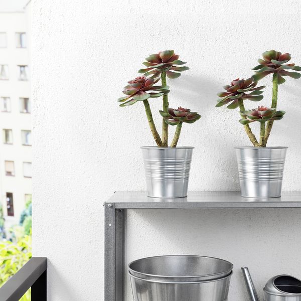 Искусственное растение в горшке, для дома, улицы Суккулент 12 см IKEA ФЕЙКА 603.953.29 - фото 2