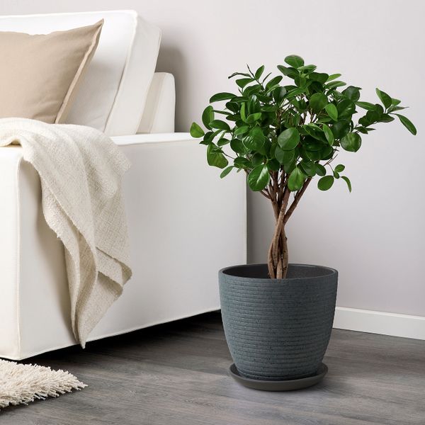 IKEA, дополнительный ракурс - схема-чертеж с размерами