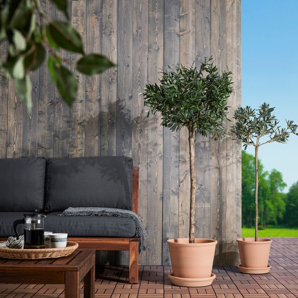 Горшок цветочный с поддоном IKEA MUSKOT МУСКОТBLOMMA МУСКОТБЛОММА 405.607.25 - фото 4