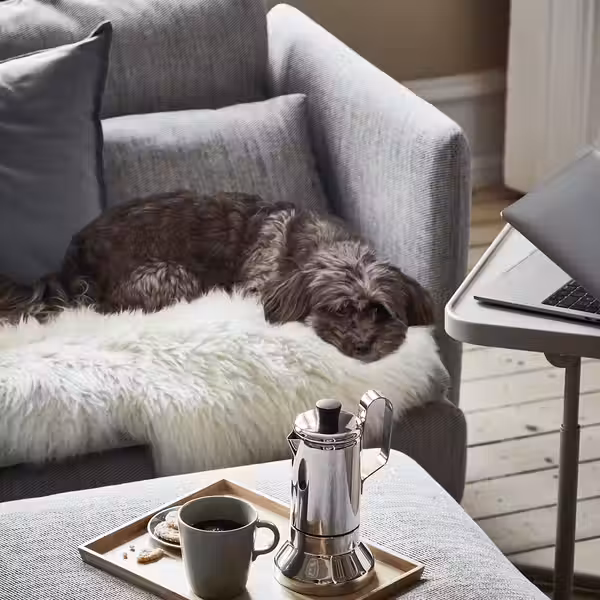 SÖDERHAMN Кресло - Viarp бежевый - фото 2