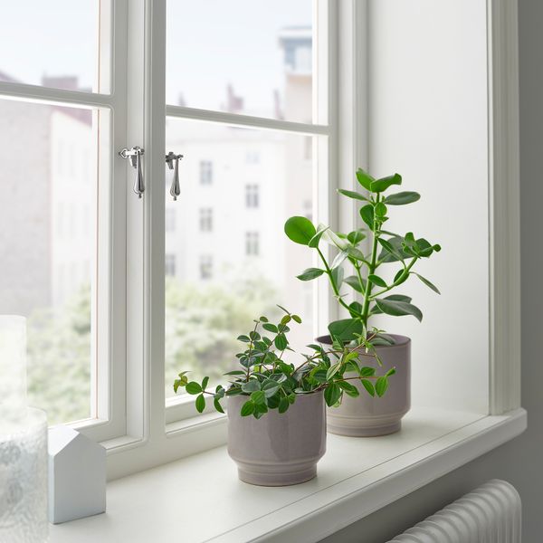 Кашпо, для дома, улицы, серый-бежевый, 12 см IKEA HONUNGSPALM 305.957.92 - фото 4