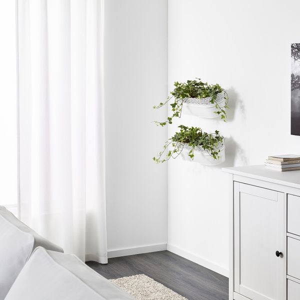 Ящик для цветов с держ, для/дома/улицы, белый 51x19 см IKEA СКУРАР 603.872.30 - фото 2