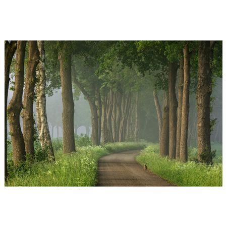 Постер НОРРХАССЕЛ, дорога (91x61 см)