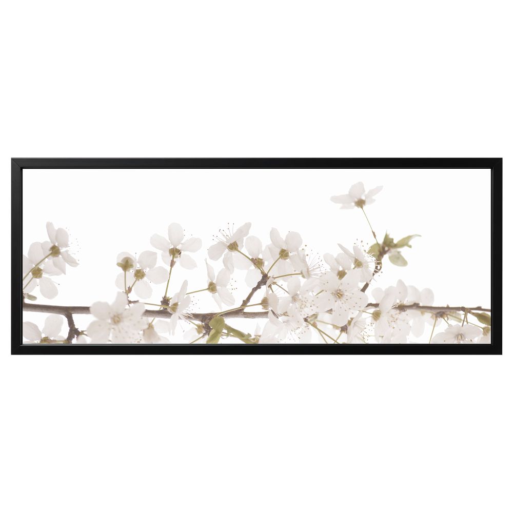 Картина с рамой, белые цветы, черный, 140x56 см IKEA BJÖRKSTA БЬЁРКСТА 095.089.33 - фото 1