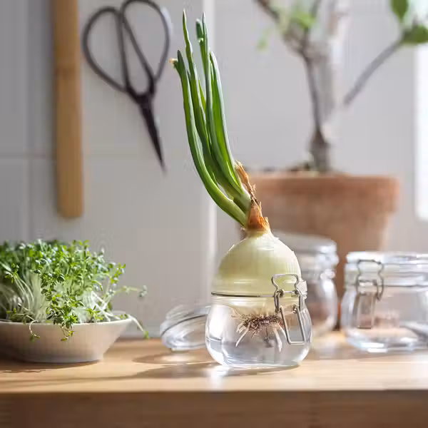 KORKEN Банка с крышкой - прозрачное стекло 0.5 л - фото 4