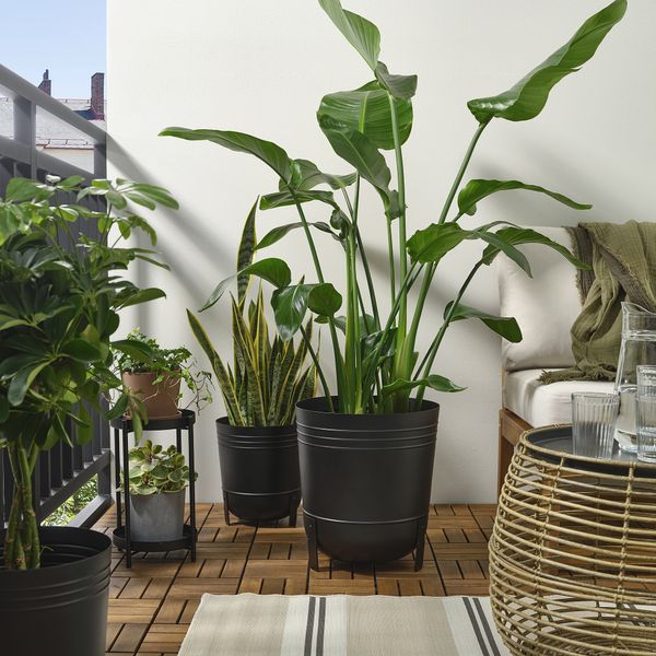 IKEA, дополнительный ракурс