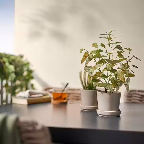 FEJKA Искусственное растение в горшке - д/дома/улицы Растение-бабочка 9 см - фото 3