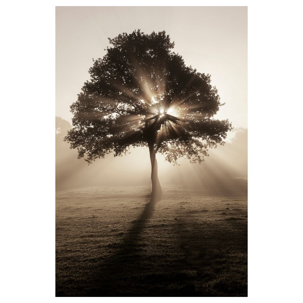 Холст, 78x118 см, Солнечные полоски IKEA BJÖRKSTA 705.277.20 - фото 1