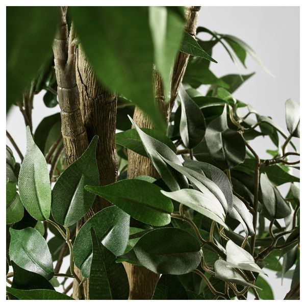 Искусственное растение в горшке ФЕЙКА, Фикус Бенджамина "Экзотика" различные растения (21 см) - схема-чертеж с размерами