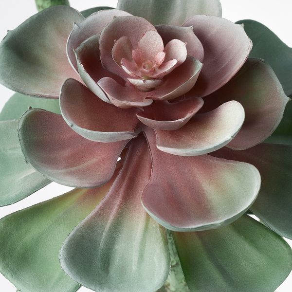 Искусственное растение в горшке, для дома, улицы Суккулент 12 см IKEA ФЕЙКА 603.953.29 - схема-чертеж с размерами