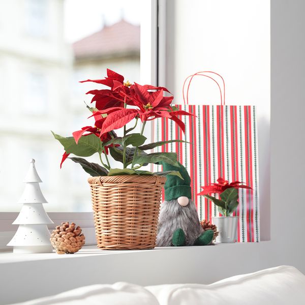 Искусственное растение в горшке IKEA VINTERFINT 605.621.39 - фото 3