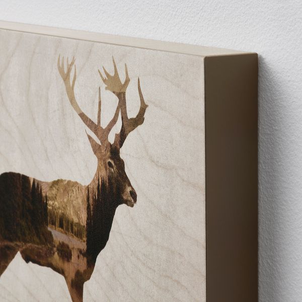 Картина, 2 шт, Дикие животные II 30x20 см IKEA BJÖRNAMO БЬЁРНАМО 304.861.04 - фото 2