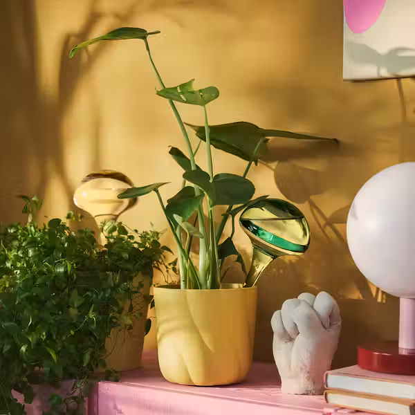 DOFTRIPS Система самополива - стекло/розовый зеленый 40 сл - фото 3