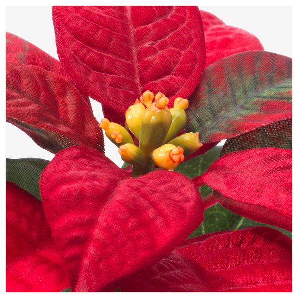 Искусственное растение и кашпо ФЕЙКА, "Рождественская звезда" красный (6 см) - схема-чертеж с размерами