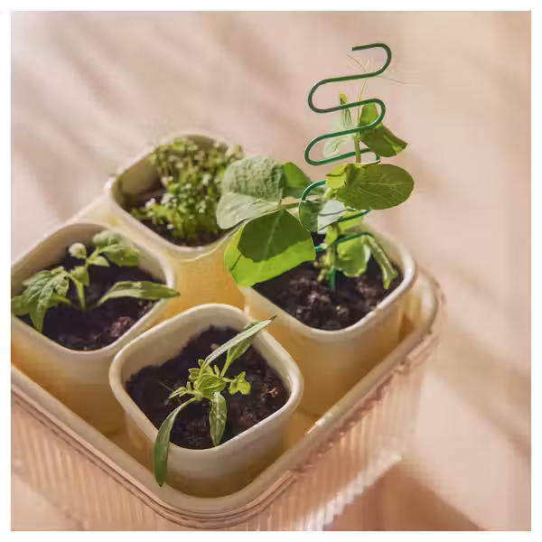 DOFTRIPS Набор д/выращивания рассады - прозрачный/белый с оттенком 16x16x14.5 см - фото 5