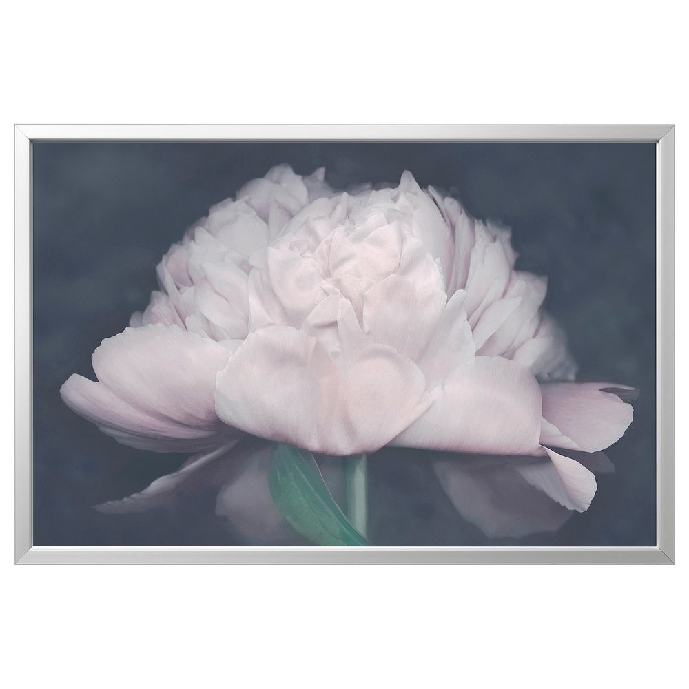Картина с рамой, Цветок, цвет алюминия 118x78 см IKEA БЬЁРКСТА 092.984.02 - фото 1