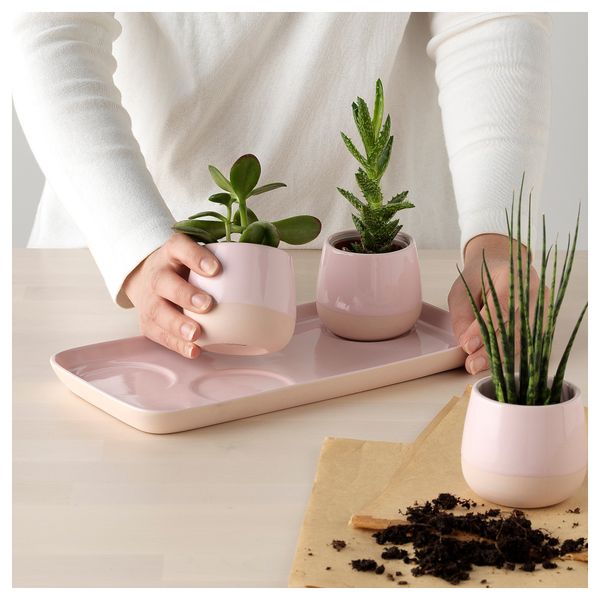 Поддон КЁШБЭР, розовый (30x15 см) - схема-чертеж с размерами