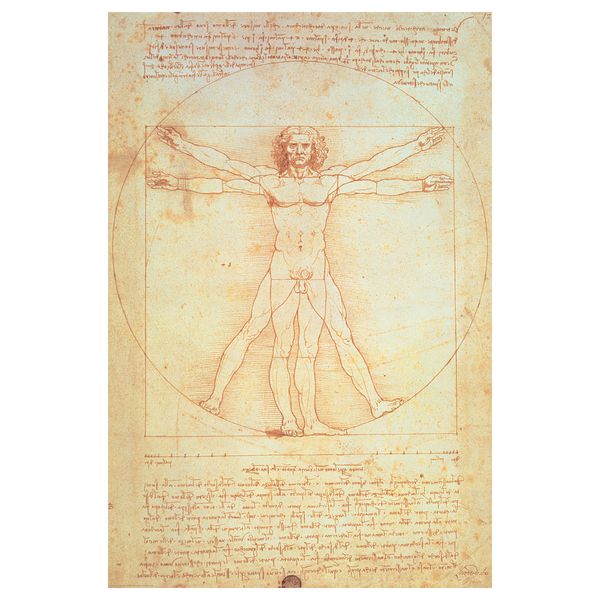Постер, Витрувианский человек, 61x91 см IKEA DRÖMBILD ДРЁМБИЛЬД 804.418.44 - фото 2