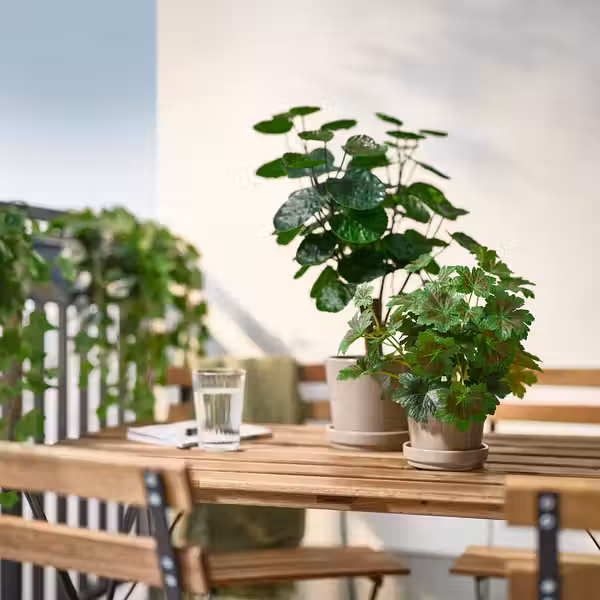 FEJKA Искусственное растение в горшке - д/дома/улицы Темная герань 9 см - фото 2