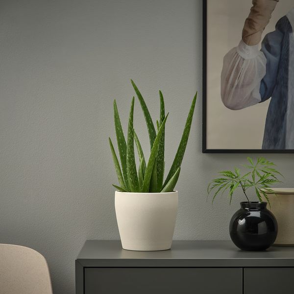 IKEA, дополнительный ракурс - схема-чертеж с размерами