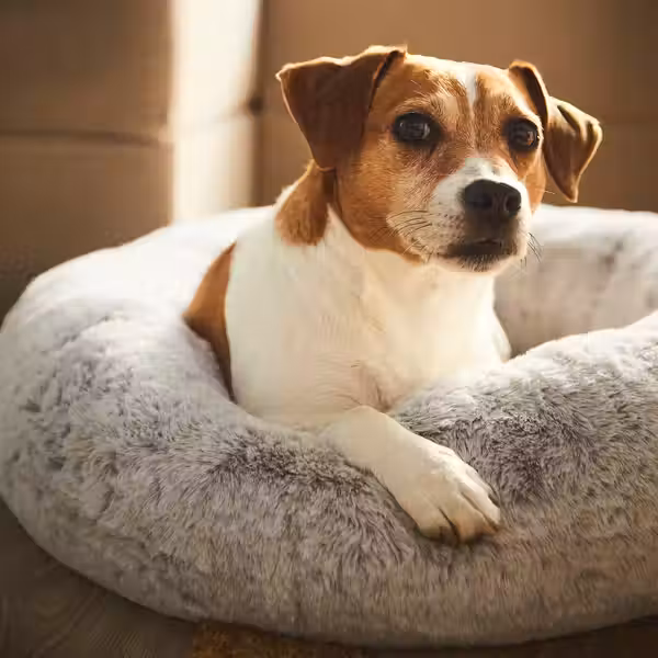 UTSÅDD УТСОДД Кроватка для домашнего питомца - светло-серый M - фото 5